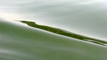 2010.4 徽州 955