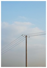 1104116