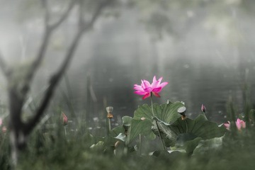 _DSC9628-