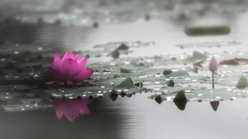 _DSC9448