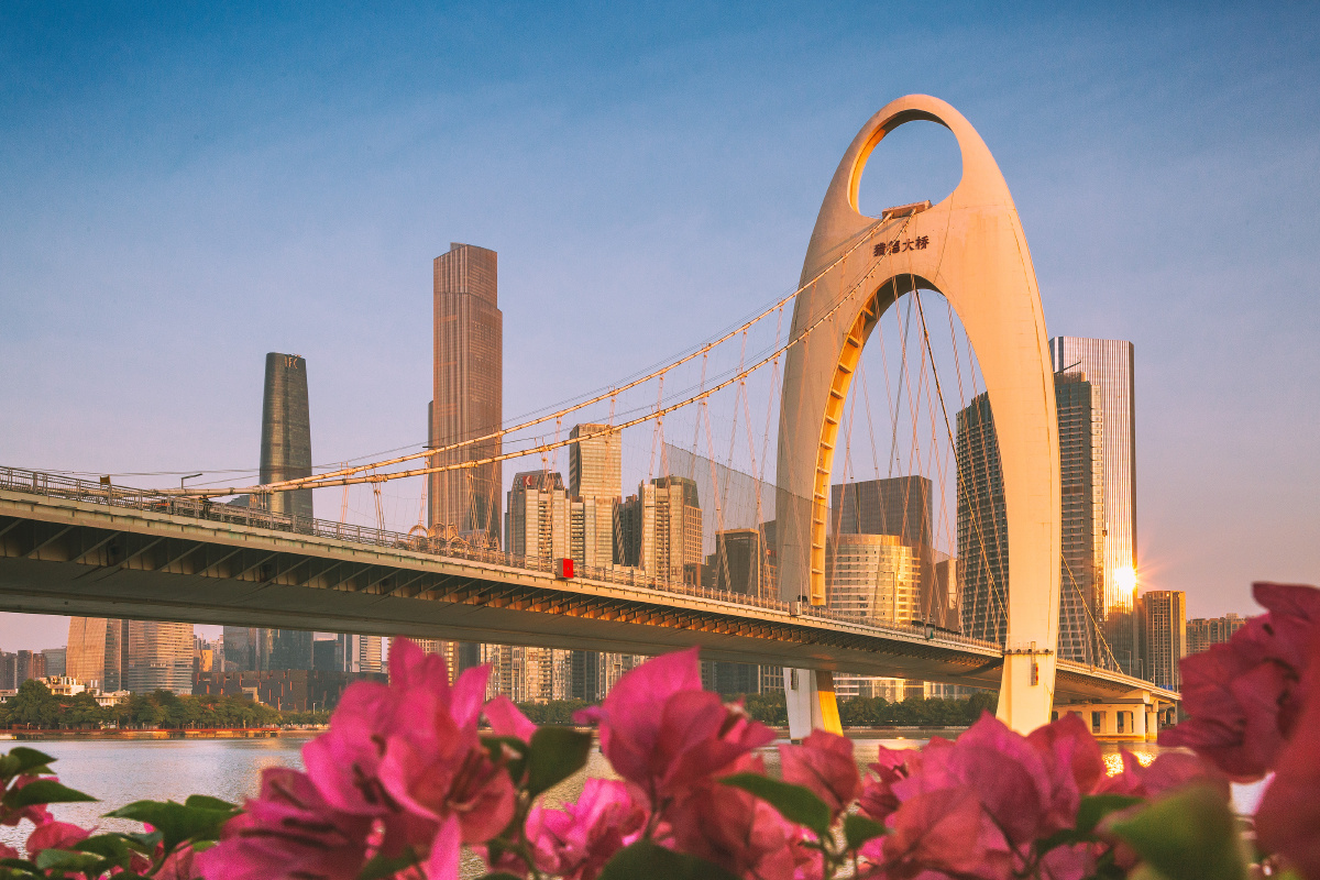 清晨花城猎德,早起拍日出,拍大桥