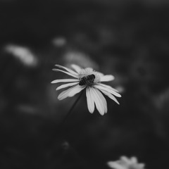 8CC66544-DB02-4BA1-B80C-EF405A393E1A/L0/001