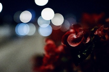 914517C2-4F06-4DB5-B3B0-79C4F4F7BEC5/L0/001