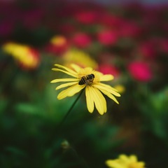 3F7D91C7-A3A3-45ED-BF97-C9E56569BCCF/L0/001