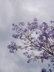 C986C0F6-A3C0-45C0-AF67-6546C8E34F35/L0/001
