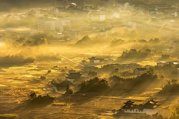 金色的早晨