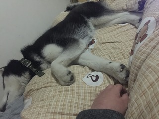 103602