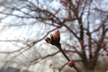 2016-03-12 082111