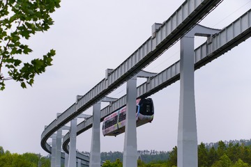 1000064713