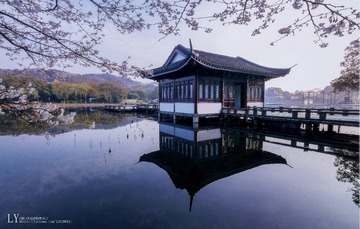 曲院风荷