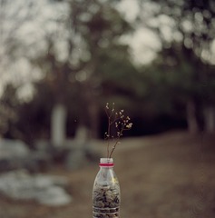 Untitled-8(2)