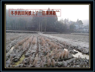 295450