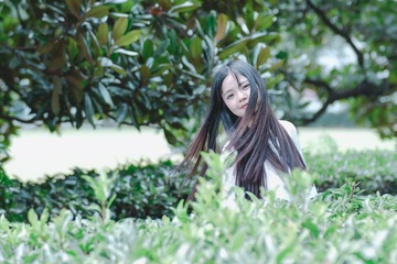 _DSF4406