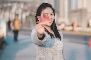 _DSF8431