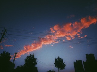 592636
