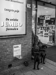 P1020978_