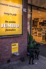 P1020978-3_