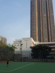 176255