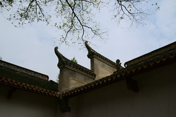 Test1
