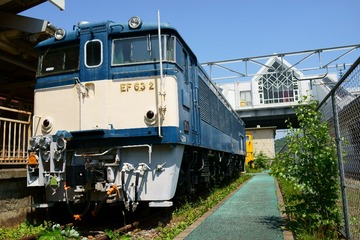 DSC05489As