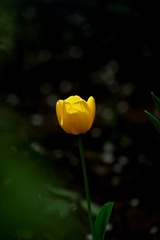 01 (12)