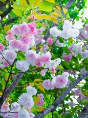 D76816B3-CDDB-4D0F-AAA6-6702BF82B2D1/L0/001