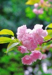 1F526B24-F69B-44D3-B6DB-7F86E960AE46/L0/001