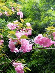 8ED6C499-79F6-49A4-83D6-C59E71F6B57F/L0/001