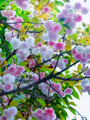 5C56A898-D806-4D5D-877F-F95191A3167B/L0/001