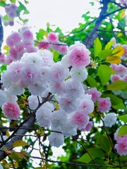 B820FD5E-5507-4170-9E15-4F38B3A2889F/L0/001