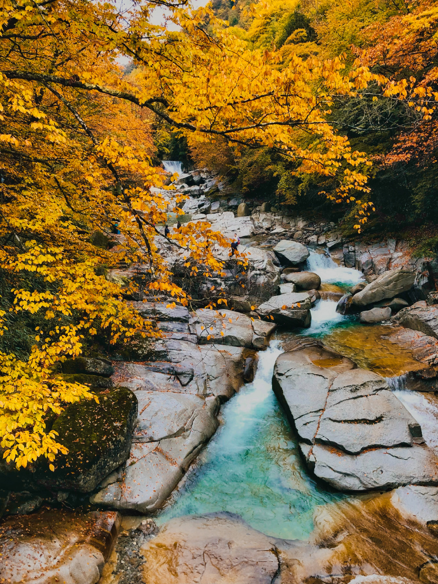 晚秋手机片山水红叶