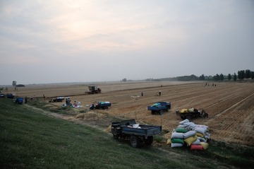 DSC_9993