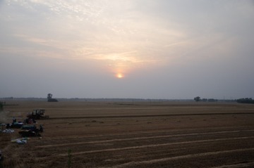 DSC_9957