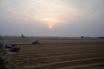 DSC_9958