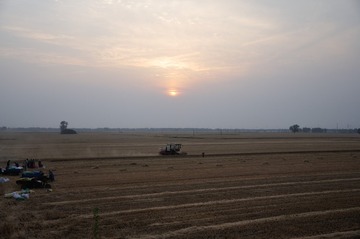DSC_9960