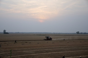 DSC_9970