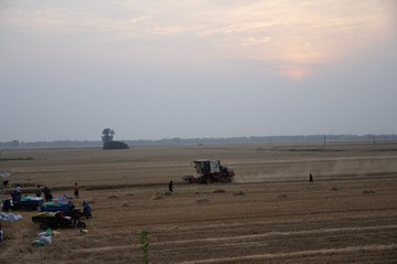 DSC_9972