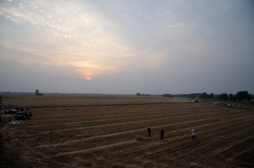 DSC_9965