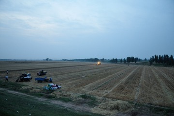 DSC_9997