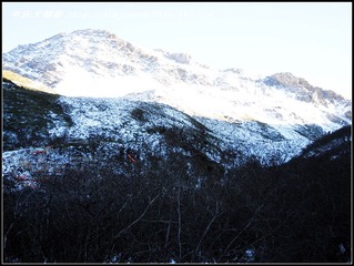 DSC_1576