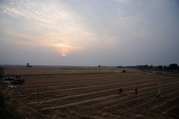 DSC_9964