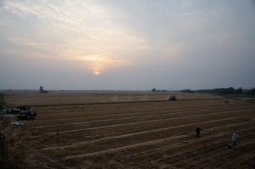 DSC_9963