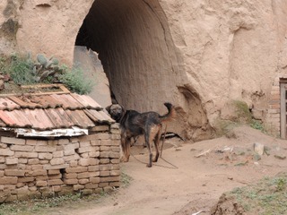DSCN0433_386