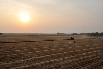 DSC_9918