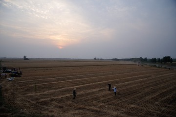 DSC_9967