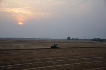 DSC_9962