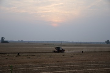 DSC_9971