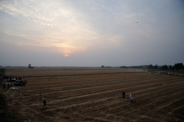 DSC_9966