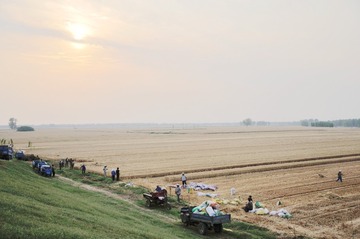 DSC_9882