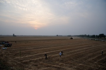 DSC_9969